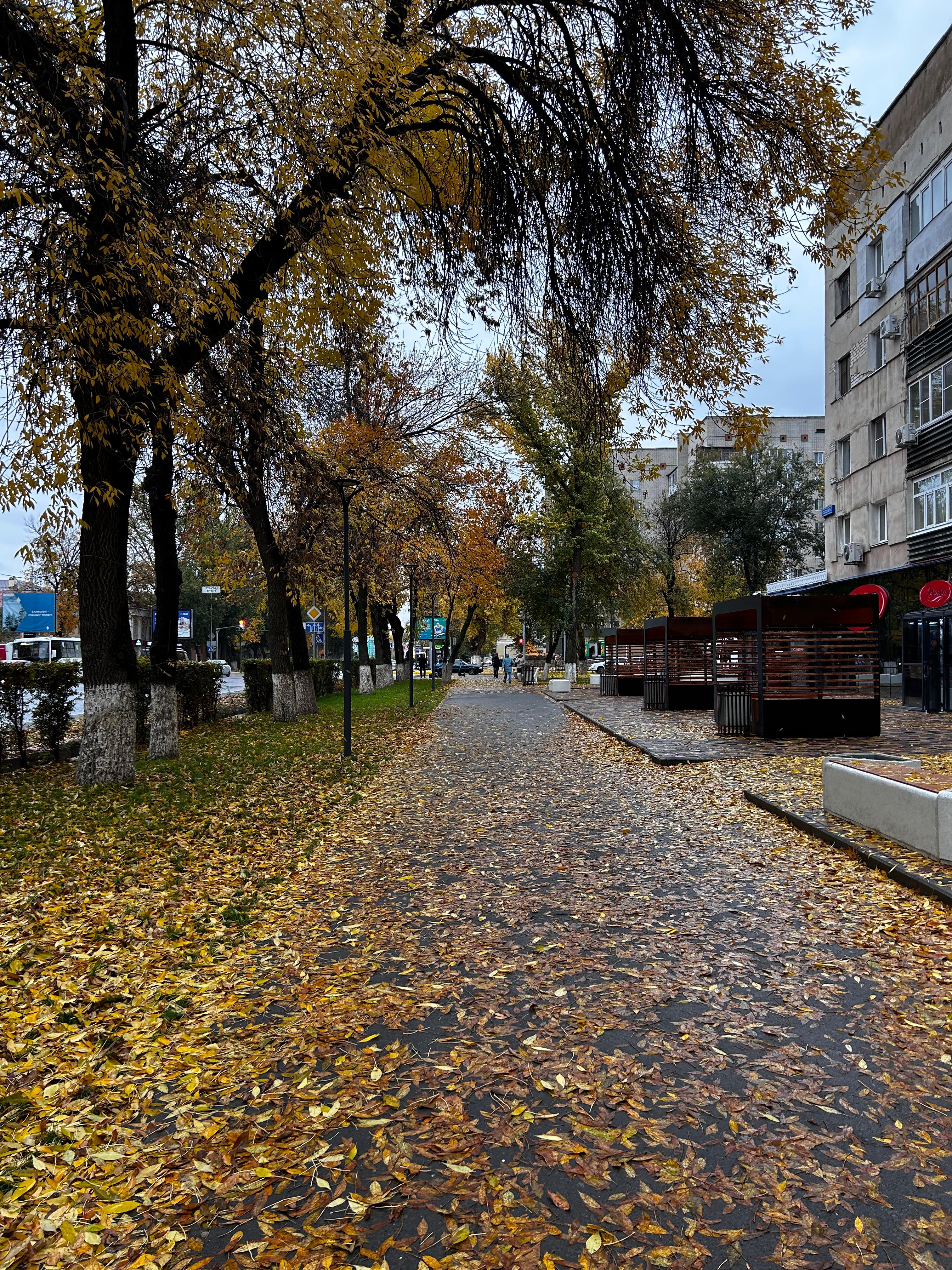 Прогноз погоды для жителей ЗКО на 21 октября